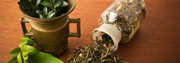 Naturopathy Naturopathy