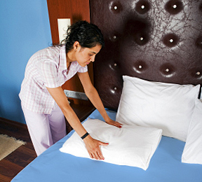 Eliminate Dust Mites to Stop Sneezing Eliminate Dust Mites to Stop Sneezing