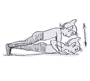 How to Exercise the Right Way: 10 Steps to Perfect Form How to Exercise the Right Way: 10 Steps to Perfect Form